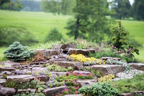 RHS Chatsworth Flower Show 2017 i dag (tirsdag 6. juni 2017) Jackie Knight's Just Add Water