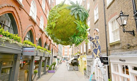Anna Garforth, Rise kokedama-installasjon på St Christopher's Place, London