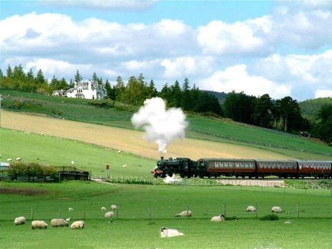 trener-i-skotsk høyland