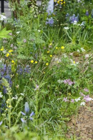 Chelsea Flower Show 2019 - Velkommen til Yorkshire garden av Mark Gregory