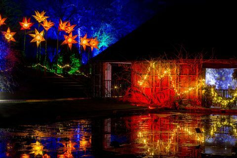RHS Garden Wisley Christmas Glow-arrangement