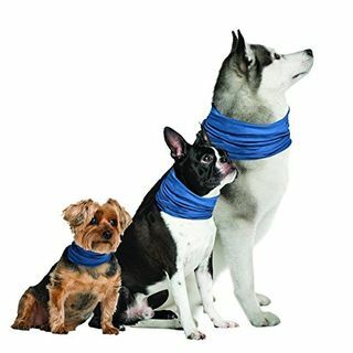 Roman Brands K9 Chill Dog Cooling Collar (Small / Medium 8