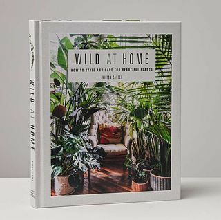 Vill hjemme: bok om stil og omsorg for vakre planter