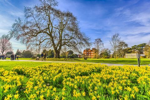 Påskeliljer om våren på Royal Botanic Gardens Kew