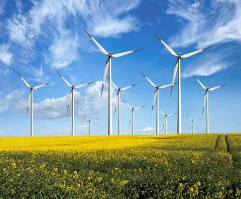 Miljøvennlige vindmøller - fornybar energi - i felt med gule blomster