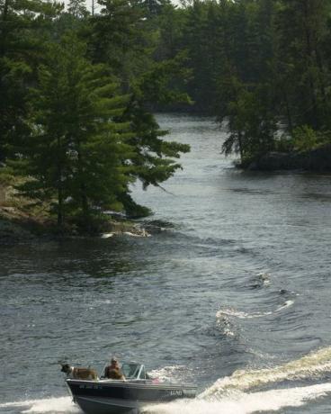 Løper gjennom smalene som fører til Kettle Falls, og skiller Rainy Lake og Lake Kabetogama på Grensen mellom Minnesota og Ontario, en båt nærmer seg brygga som eies av National Park Service ved Kettle Falls Hotell.