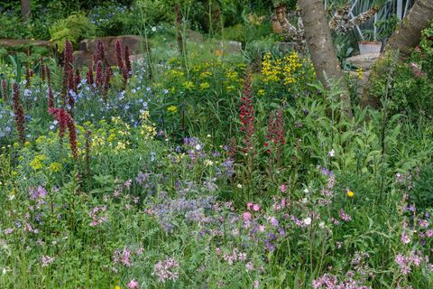 Resilience Garden designet av Sarah Eberle og bygget av Crocus