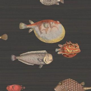 Cole & Son Acquario Black & Mult Wallpaper