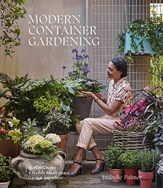 Modern Container Gardening: Hvordan lage en stilig liten hage hvor som helst