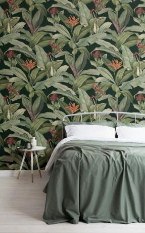 Vintage Botanicals-samling av MuralsWallpaper, ved hjelp av detaljerte vintagemalerier av Pierre-Joseph Redouté