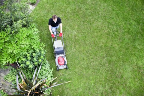 Bird's Eye View of Gardener Mowing Lawn: Overheadshot av gartner som klipper plen ved buskegrensen.