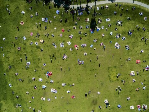 Luftfoto av mennesker i en bypark en sommerdag som sitter og står på pikniktepper.