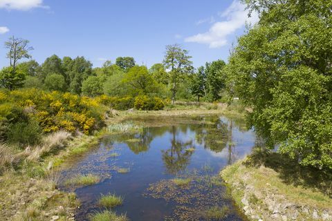 rosa slott til salgs i aberdeenshire