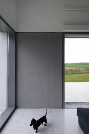 House Lessans, et utsøkt enkelt hjem i County Down designet av McGonigle McGrath, er kåret til RIBA House of the Year 2019