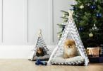 Aldi Special Buys: Aldi Selger £ 39.99 Sovesofa for kjæledyr til jul