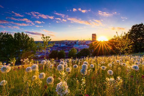 Solen går ned over Sheffields skyline