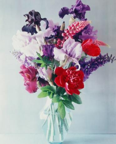 Friske blomster i en vase
