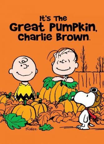 Det er det store gresskaret, Charlie Brown
