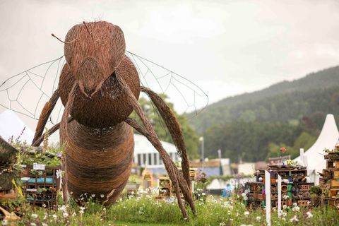 RHS Chatsworth Flower Show 2017 i dag (tirsdag 6. juni 2017) RHS skolekonkurranse - Bug Hotels