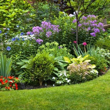 frodig anlagt hage med blomsterbed og fargerike planter