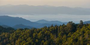 Great Smoky Mountains nasjonalpark