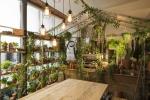 Airbnb og Pantone samarbeider om Greenery 'Outside In' hus i London