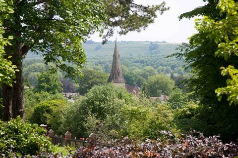 Pagoda House view, Winchester, Savills