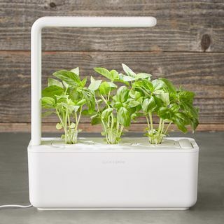 Klikk og Grow Herb Garden