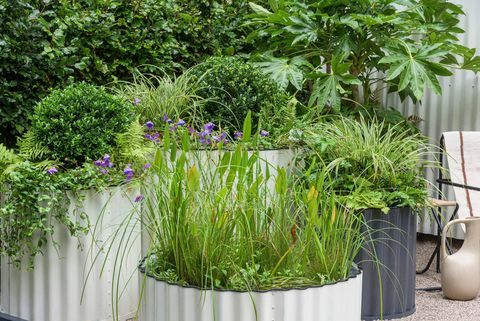 chelsea flower show 2021 container gardens
