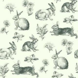 Inspirert av Color Bunny Toile At4263 Bakgrunn