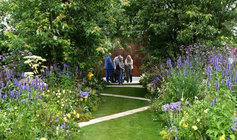 london, england juli 04 generell utsikt ved lanseringen av rhs hampton court blomsterutstilling i hampton court palace den 4. juli 2016 i london, england foto av stuart c wilsongetty images