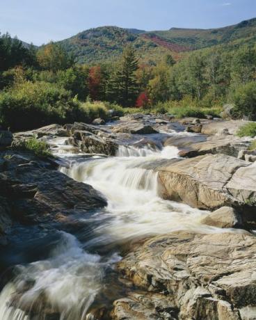 Ausable River Rapids