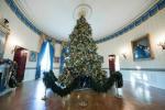 HGTVs White House Christmas Special