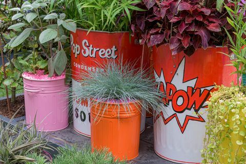 chelsea flower show 2021 container gardens