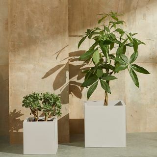 Sett med 2 galvaniserte firkantede plantekasser, stein