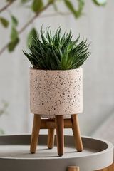 Mini Terrazzo Planter