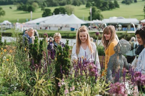 Chatsworth Flower Show 2019