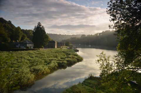 Kortløper, Sue Rowlands, Cotehele