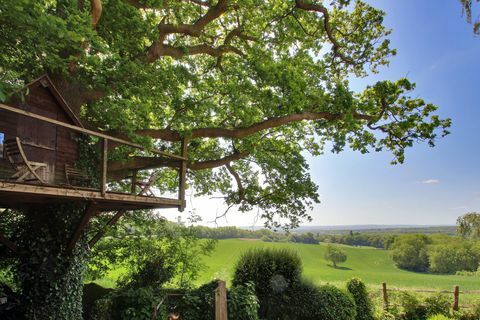 Roughway Cottage - Kent - tree - Savills