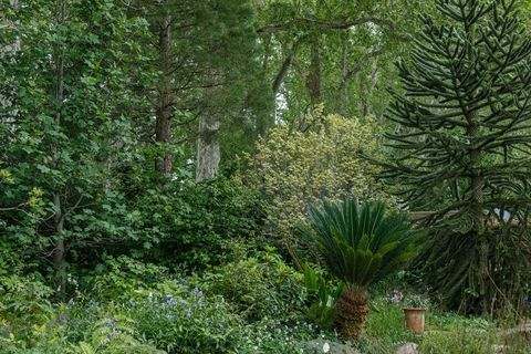 Resilience Garden designet av Sarah Eberle og bygget av Crocus