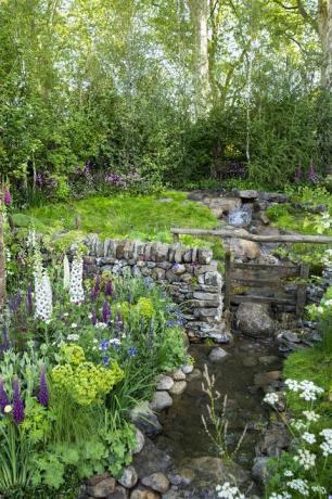 Velkommen til Yorkshire garden designet av Mark Gregory, bygget av Landform Consultants - Chelsea Flower Show 2018