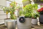 Chelsea Flower Show: Dobbies vinner beste bærekraftige hageprodukt