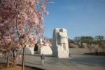 Se D.C. Cherry Blossoms livestream midt i koronaviruset