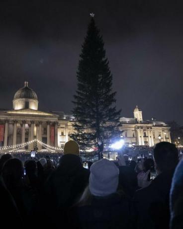 trafalgar square juletre uopplyst