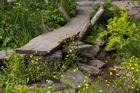 et rewilding britisk landskap designet av lulu urquhart og adam hunt sponset av prosjekt som gir tilbake til støtte for rewilding britain show garden rhs chelsea flower show 2022