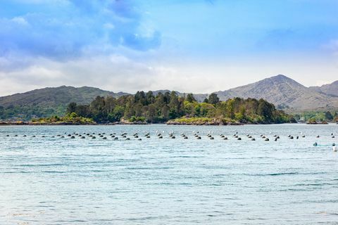 glengarriff castle til salgs i Irland