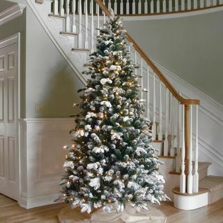 6.5 'Flocked Everest Fir Tree