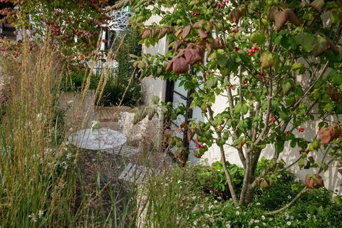 chelsea flower show 2021 balkong med blomster, balkonghage