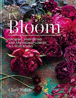 In Bloom: Å dyrke, høste og ordne blomster hele året