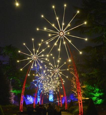 Kew Gardens lyser opp til jul